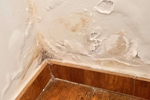 Tratamos humedades que suben por las paredes en Palencia, eliminando manchas con reparación humedades.