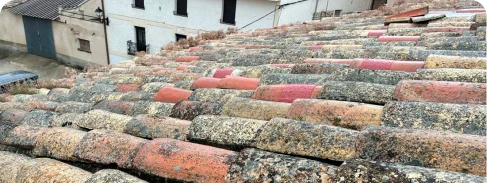 Reparación de Goteras: Tejado dañado por el viento o el desgaste, causando filtraciones que deben ser reparadas de inmediato